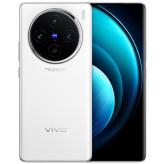 ViVO X100 5G